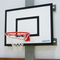 Щит баскетбольный Schelde Sports фиксированный 120х90 см 1620023