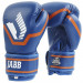 Боксерские перчатки Jabb JE-2015/Basic 25 синий 12oz 75_75