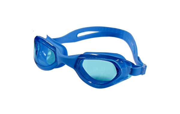 Очки для плавания Sportex B31542-1 голубой 600_380