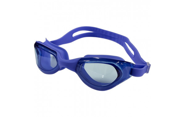 Очки для плавания Sportex B31542-0 синий 600_380