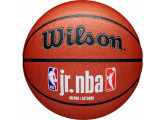 Мяч баскетбольный Wilson JR.NBA Fam Logo Indoor Outdoor WZ2009801XB7 р.7
