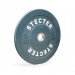 Диск тренировочный Stecter D50 мм 5 кг (серый) 2191 75_75