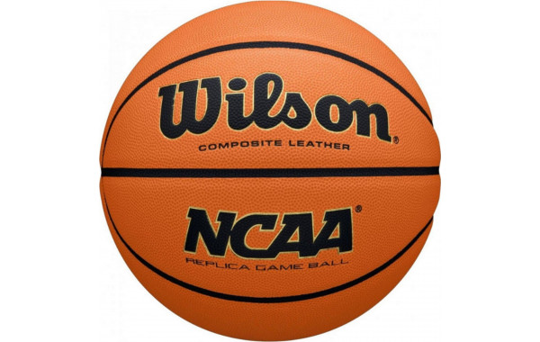 Мяч баскетбольный Wilson Evo Nxt Replica WZ2007701XB р.7 600_380