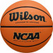 Мяч баскетбольный Wilson Evo Nxt Replica WZ2007701XB р.7 75_75