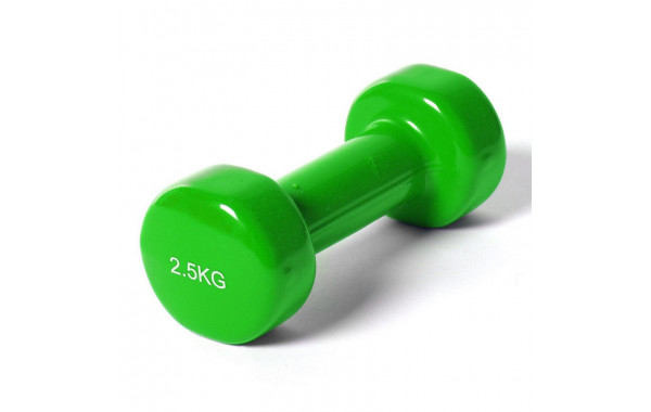 Гантель Sportex виниловая York 2,5 кг B35017 зеленая 600_380