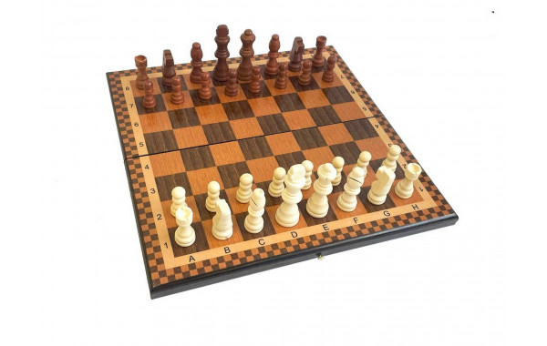 Шахматы "Турнирные 1" 30 Armenakyan AA104-31 600_380