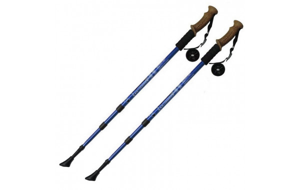 Палки для скандинавской ходьбы Sportex телескопическая, 3-х секционная F18437 синий 600_380