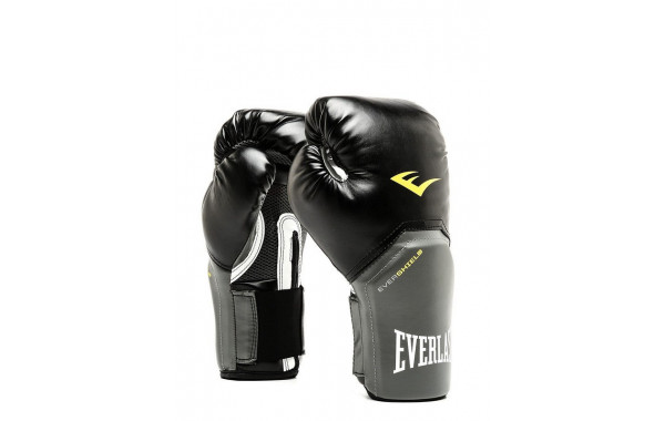 Перчатки тренировочные Everlast Pro Style Elite 8oz 2308E черный 600_380
