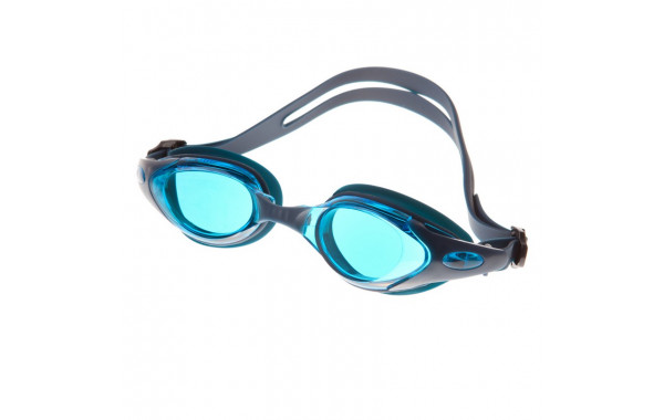 Очки для плавания Alpha Caprice JR-G1000 Blue 600_380