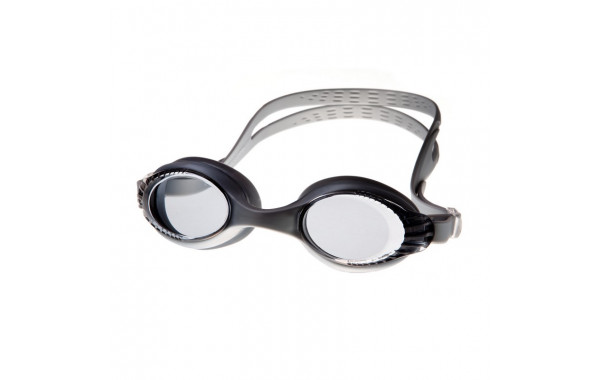 Очки для плавания Alpha Caprice AD-G1100 Silver 600_380