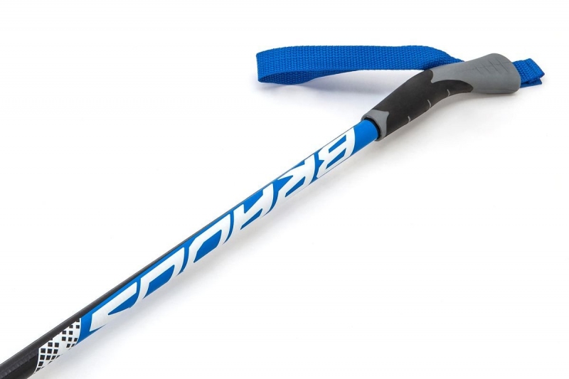 Палки стекловолокно 100% лыжные STC Blue BRADOS LS Sport 800_533